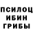 Галлюциногенные грибы GOLDEN TEACHER HALFBL00D