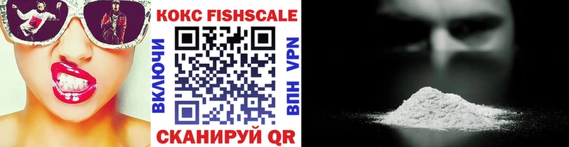 купить закладку  Нижневартовск  ссылка на мегу рабочий сайт  Cocaine Fish Scale 