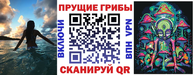 Галлюциногенные грибы Cubensis  дарнет шоп  Нижневартовск 